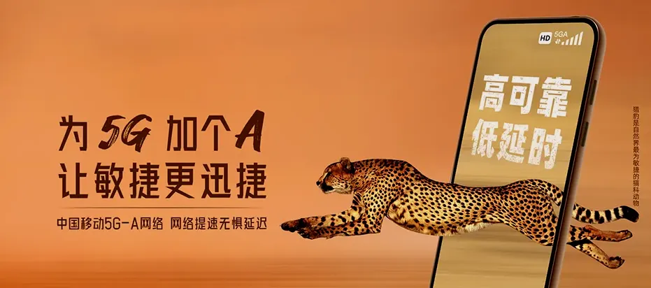 水城水城区新街彝族苗族布依族乡 移动宽带